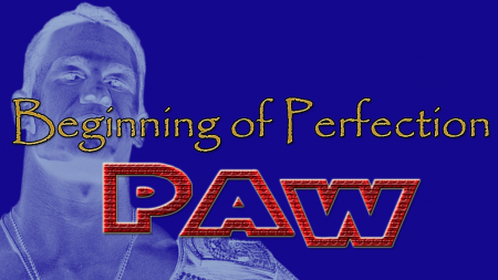 Beginning of Perfection (show)